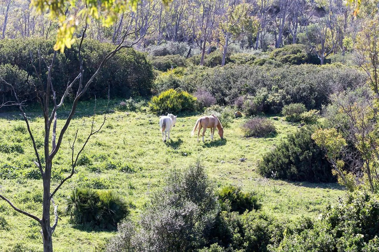 Apartamento Casita rural en Centro de Hípica Tarifa