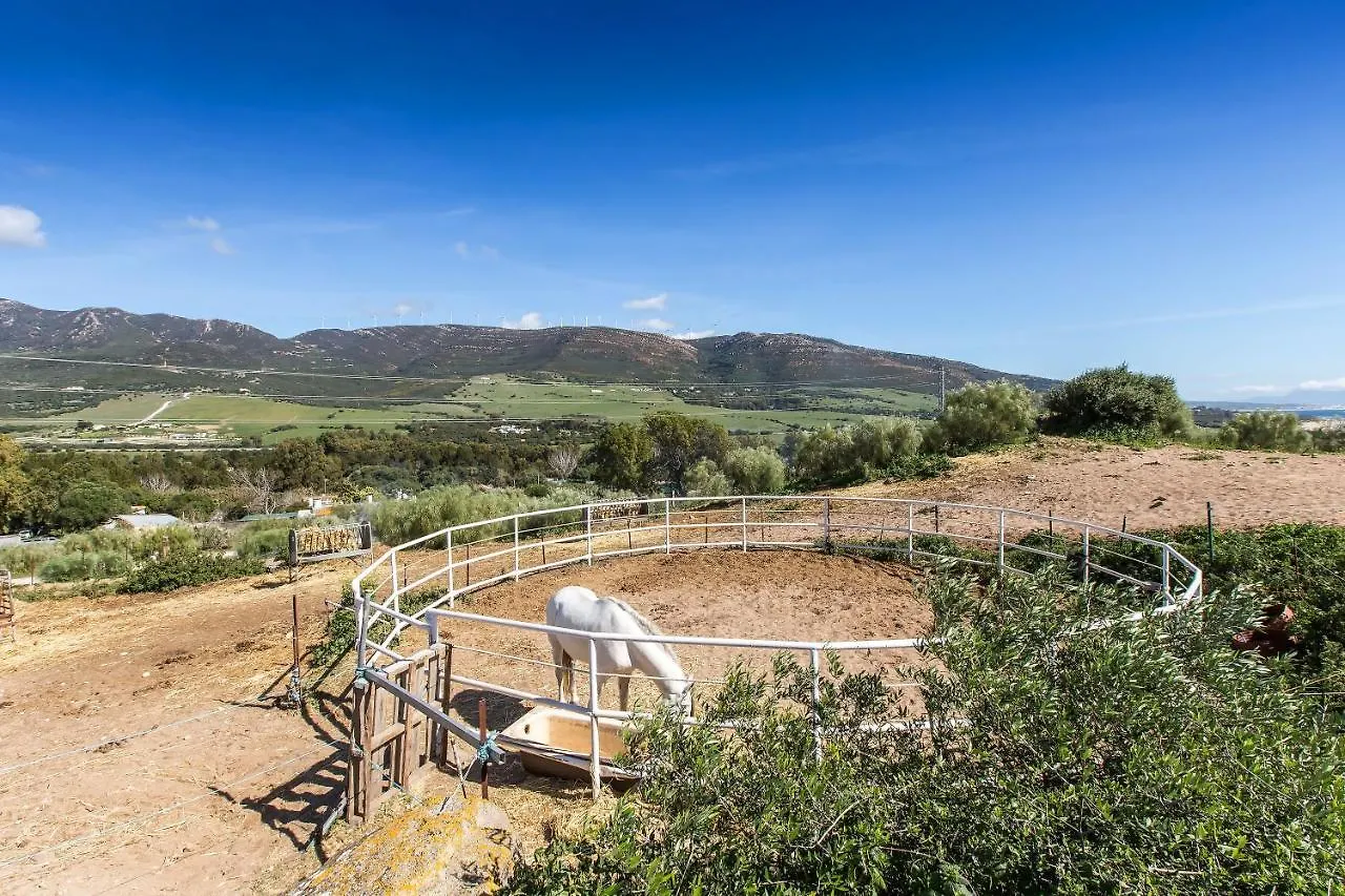 Casita Rural En Centro De Hipica Apartment Tarifa