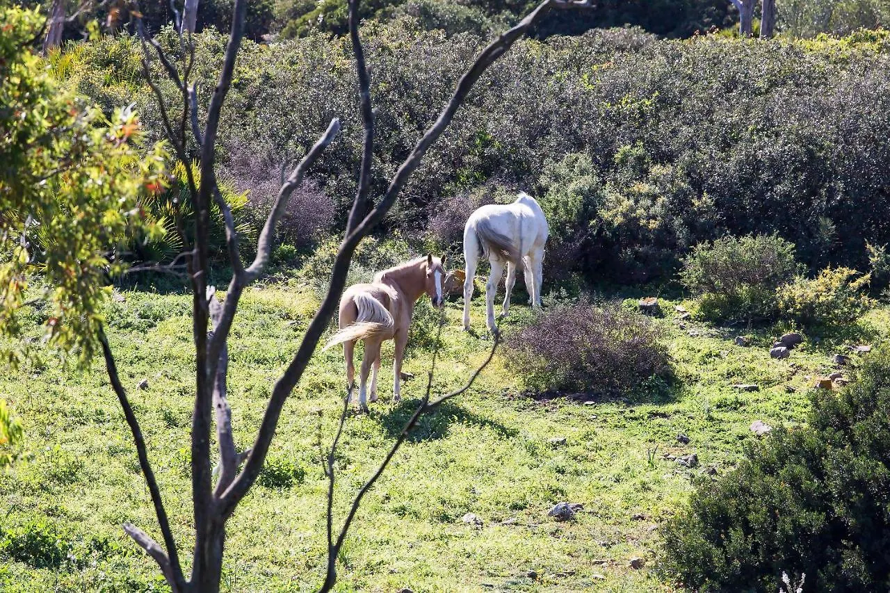 Apartament Casita Rural En Centro De Hipica Tarifa