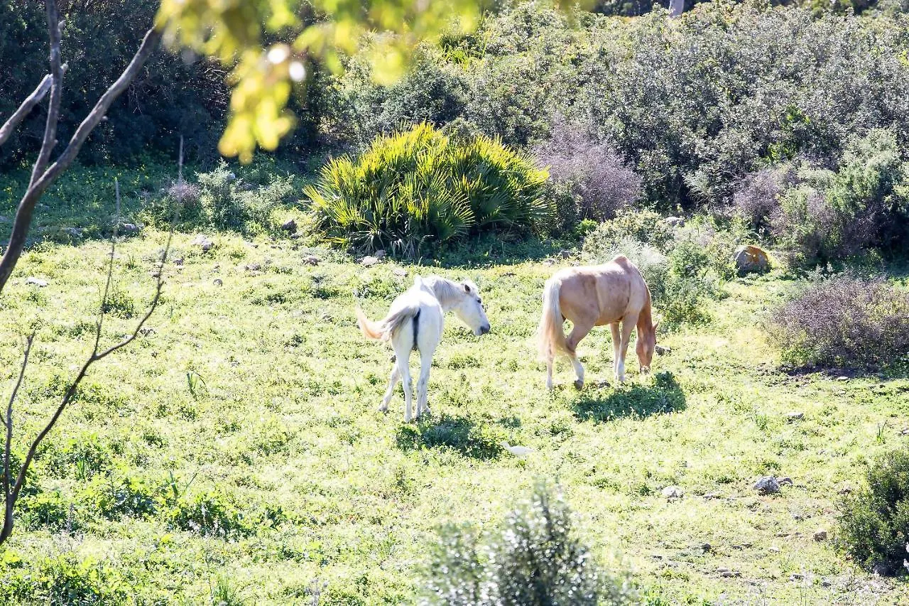 Apartament Casita Rural En Centro De Hipica Tarifa 0*,